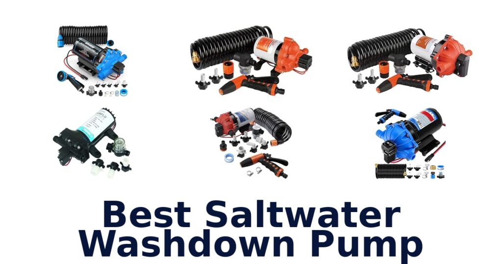Best Saltwater Washdown Pump