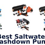 Best Saltwater Washdown Pump